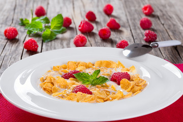corn flakes with dewberry and milk in wide rim plate
