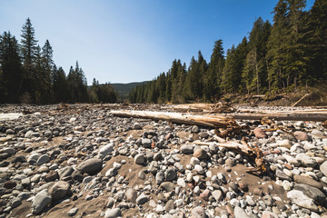 View of dry riverbed in spring near the Rainier mountain.