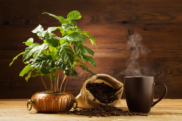 Kop warme koffie met een boomkoffie op de achtergrond.