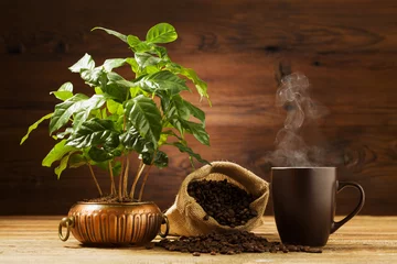 Foto auf Acrylglas Bestsellern in der Küche Tasse heißen Kaffee mit einem Baumkaffee im Hintergrund.
