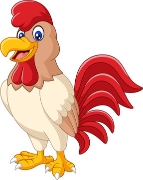 Cartoon rooster isolated on white background

