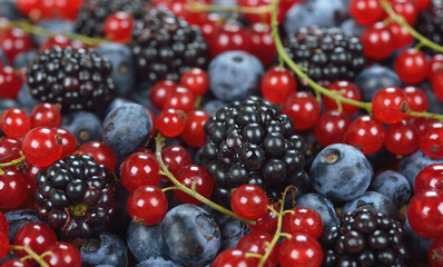 Various fresh berries close up