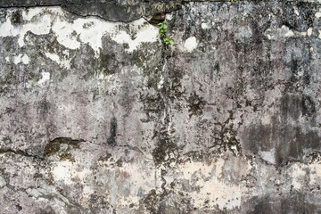 old cement wall background