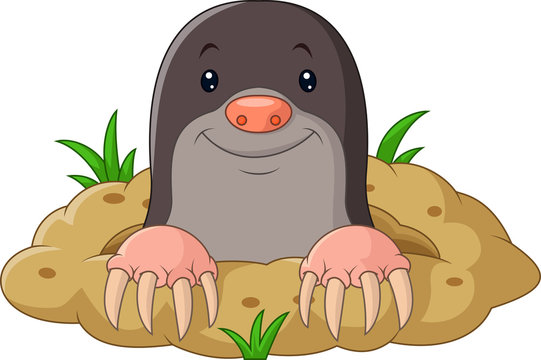 Mole Cartoon Images &#8211; Browse 6,189 Stock Photos, Vectors, and ...