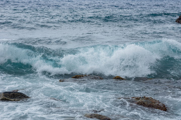 Fototapeta premium surfować