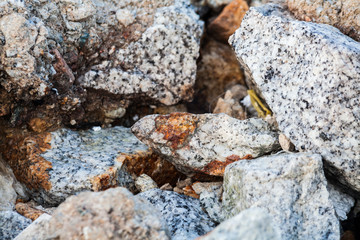 Rock texture in close up