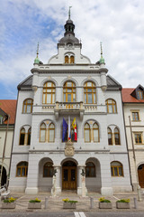 Fototapeta premium Novo Mesto's Town Hall, Slovenia