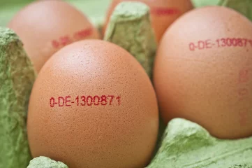 Fotobehang Erzeugungscode auf Hühnerei © Stockfotos-MG