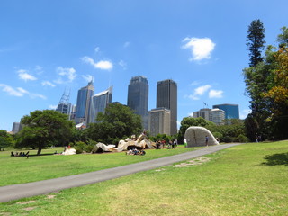 Sydney skyline from the botanic gardens