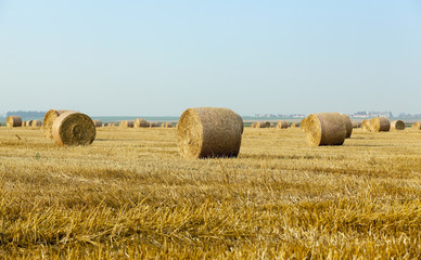 stack of straw in the field