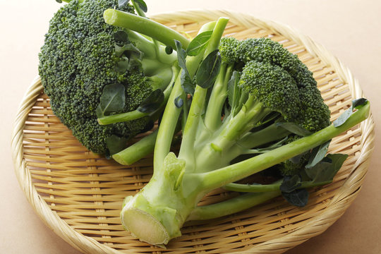 ブロッコリー　broccoli