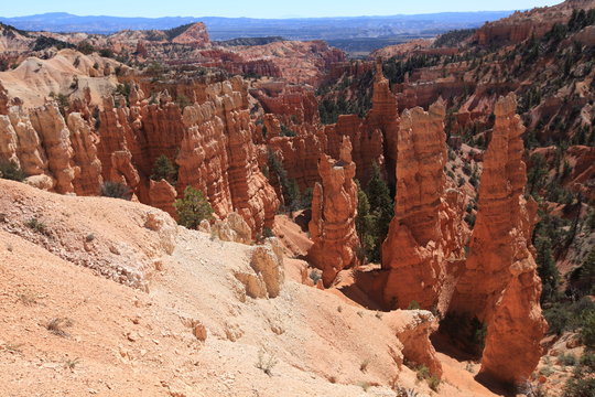 Rainbow point, Bryce canyon NP 