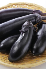 茄子 Japanese eggplant