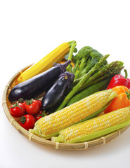 夏野菜の集合イメージ Vegetable set