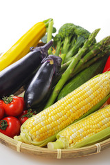 夏野菜の集合イメージ Vegetable set