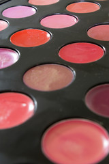 This is a photograph of a Lipstick palette
