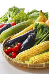 野菜の集合イメージ Vegetable set