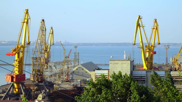 Buildings and cranes in the seaport. On the horizon is visible city