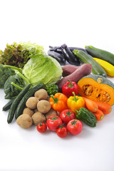 野菜の集合 Vegetable set