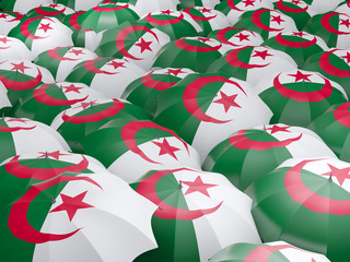 Umbrellas with flag of algeria