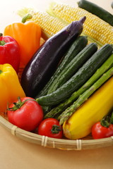 夏野菜イメージ　Summer vegetable set