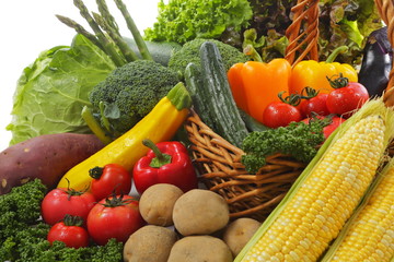 野菜の集合 Vegetable set