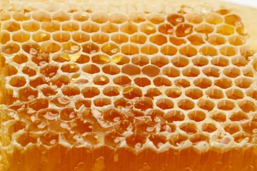 Fotobehang Honeycomb in closeup © DN6