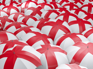 Obraz premium Umbrellas with flag of england