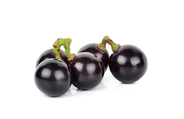 Black grape isolated on the white background