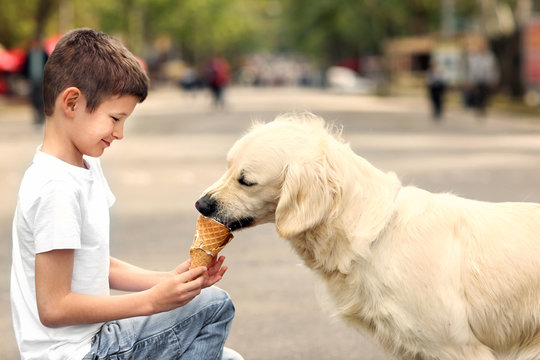 Small boy feeding ice-cream cute dog on street