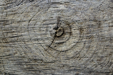 Wooden texture for background.