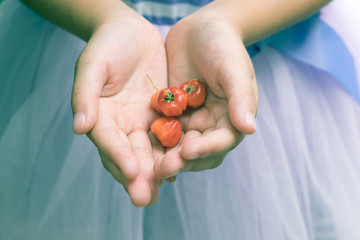 close up little girl holding barbados cherry.