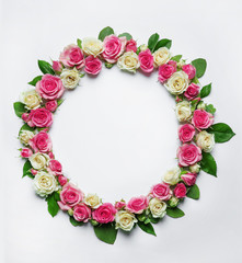 Assorted roses heads on white background