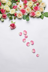 Assorted roses heads on white background