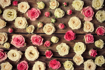 Obraz na płótnie Canvas Assorted roses heads on wooden background