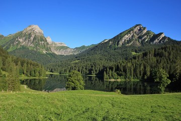 Fototapeta na wymiar Idyllic lake Obersee and Mt Brunnelistock