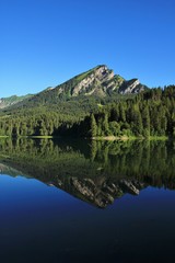 Mountain and forest mirroring in lake Obersee