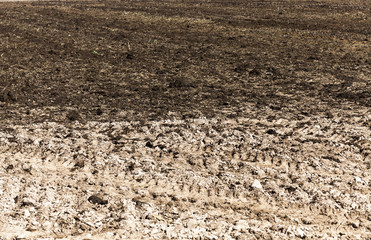 plowed land for cereal