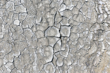 Cracked soil