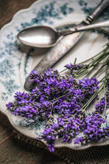 Obraz na płótnie Canvas Fresh lavender flowers