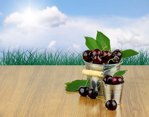 excellent ripe cherries in a metal bucket on natural background.