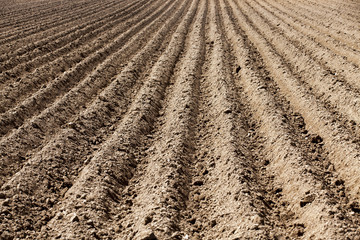 plowed land, furrows