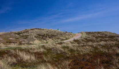   landscape on Sylt island at North Sea