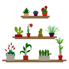 House plants and flowers in pots. Flat style vector illustration. Chlorophytum, cactus, dieffenbachia, sansevera, gippeastrum, aloe vera
