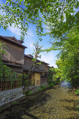 祇園　白川の風景