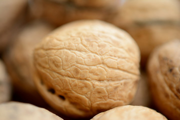 Walnut closeup