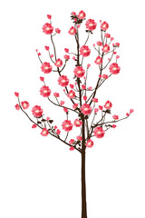 Full bloom sakura tree (Cherry blossom) isolated on white