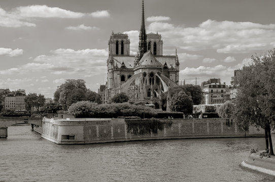Fototapeta Black and white Notre-Dame cathedral in Paris