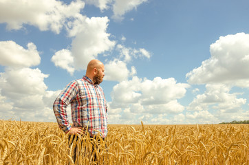 Naklejka na ściany i meble Happy smiling successful caucasian thirty years old farmer standing proud in front of his wheat fields.