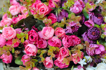 Colorful Rose Background For Decoration